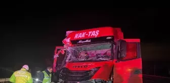 Uşak'ta iki tırın çarpıştığı kazada 1 kişi yaralandı