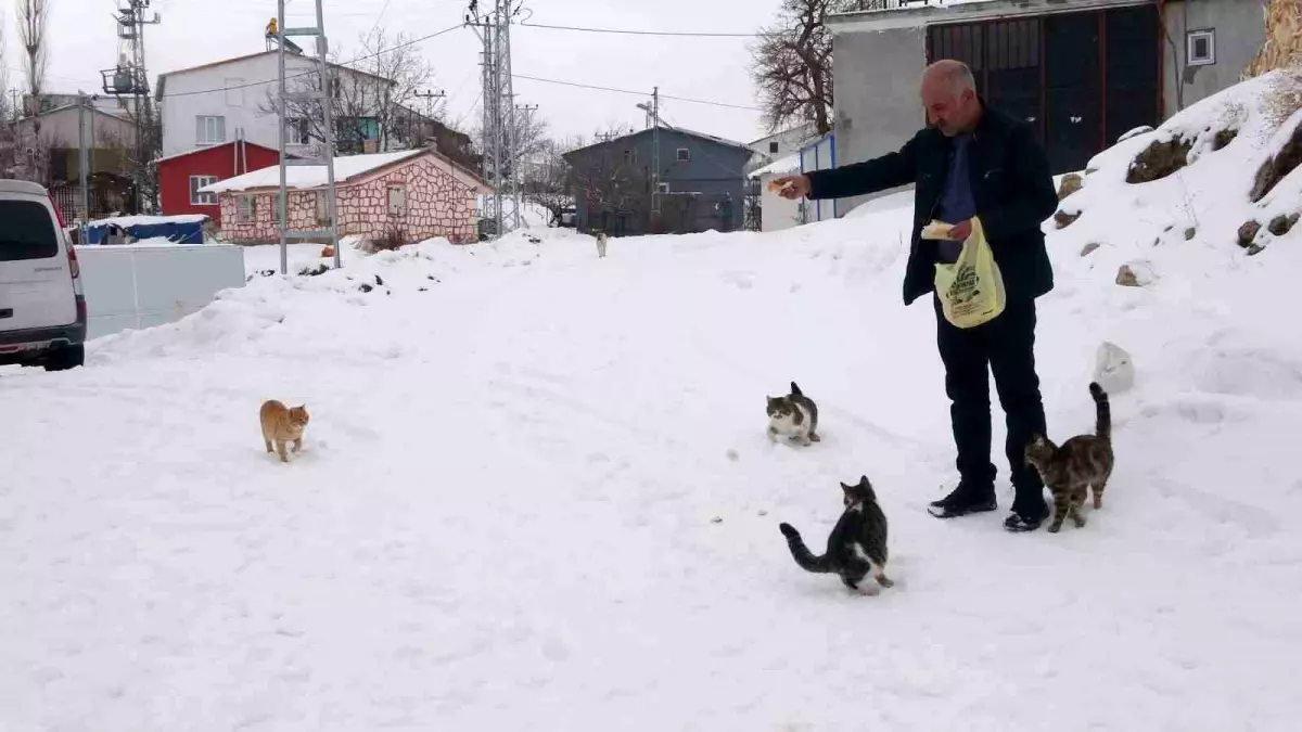 Yaklaşık 2 bin nüfuslu köyde kışın sadece bir aile yaşıyor