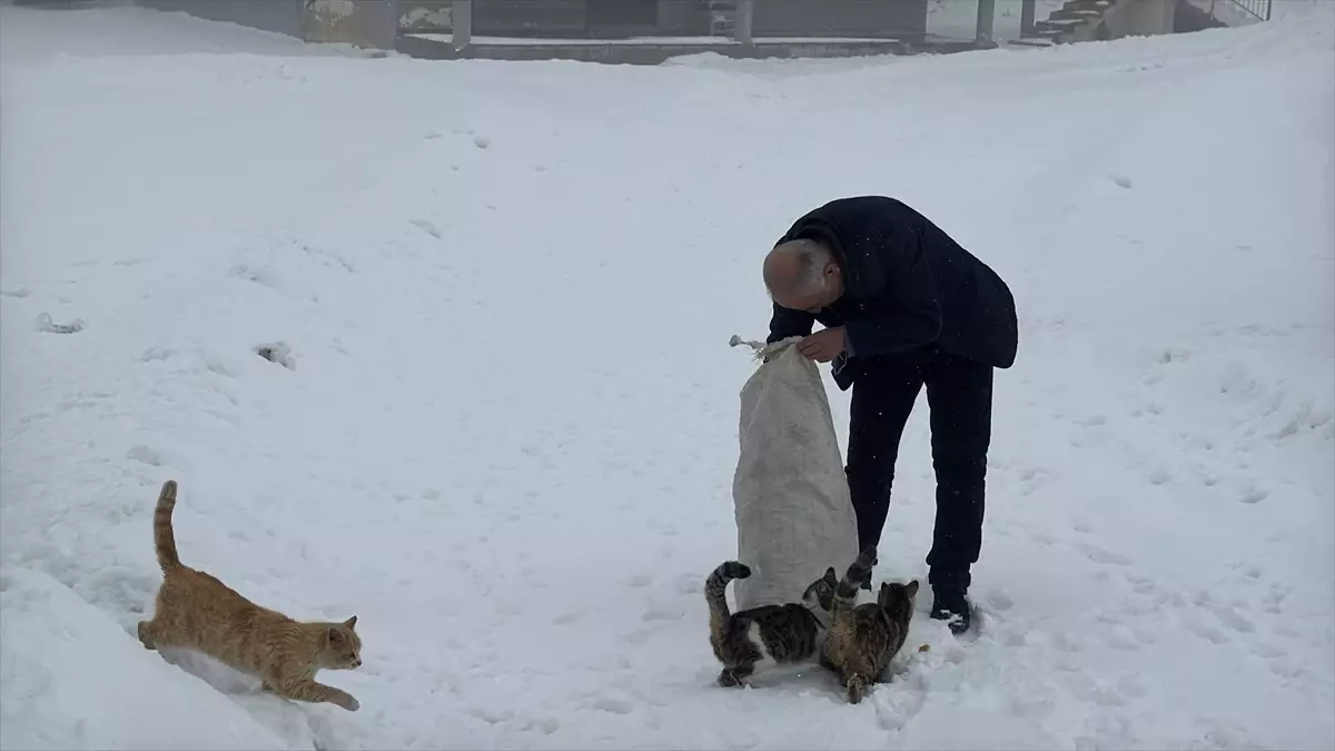 Yazın 2 bin nüfuslu köyde kışın yalnızca muhtar ve ailesi yaşıyor