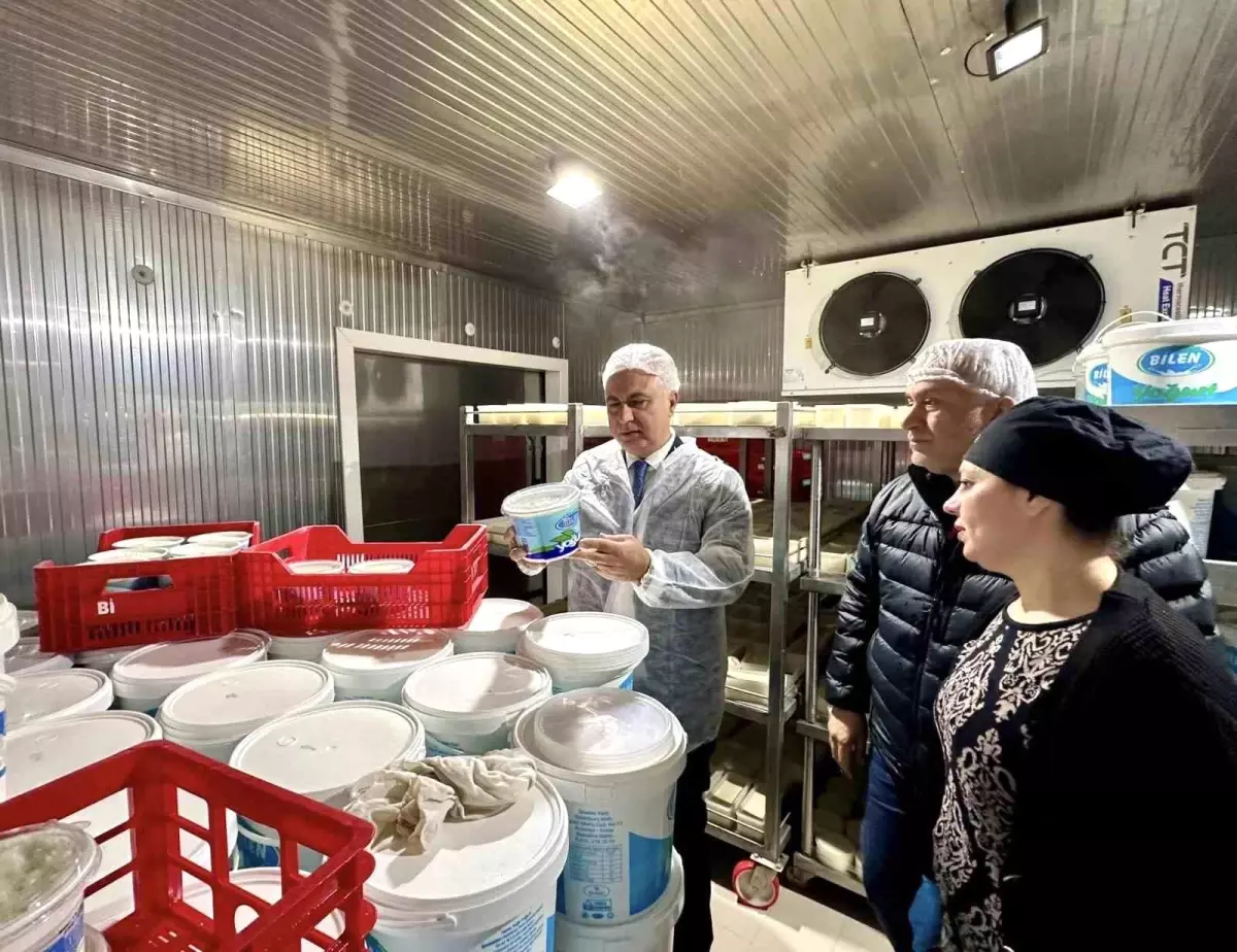 Antakya'da süt ürünleri üreten firma incelendi