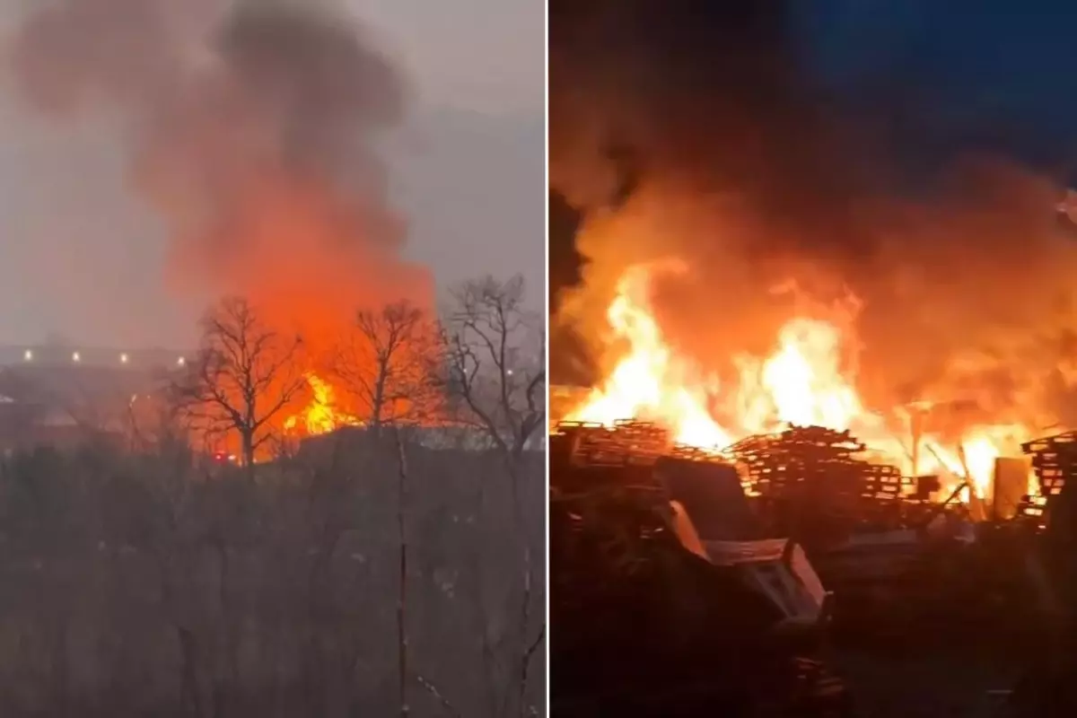 Bursa'da ahşap palet fabrikasında yangın paniği