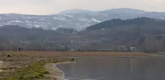 Sapanca Gölü'nde su seviyesi son yağışlarla 8 santimetre arttı