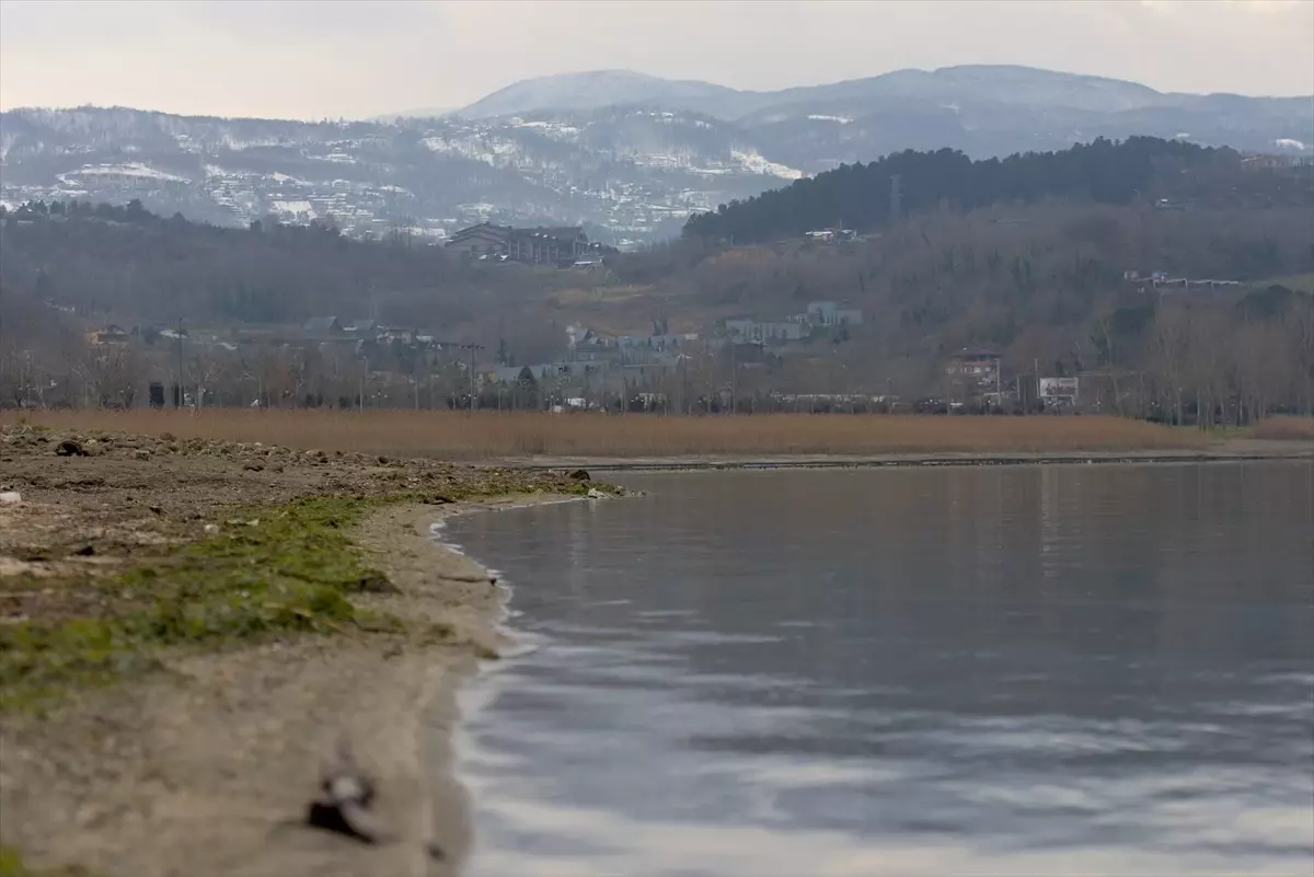 Sapanca Gölü'nde su seviyesi son yağışlarla 8 santimetre arttı