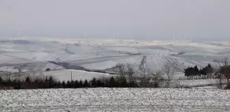 Trakya'da kar yağışı tarım arazilerine can suyu oldu