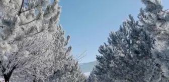 Ulaş ilçesinde soğuk hava etkili oluyor