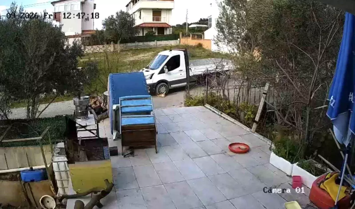 Yerde yatan köpeği ezip yoluna devam etti