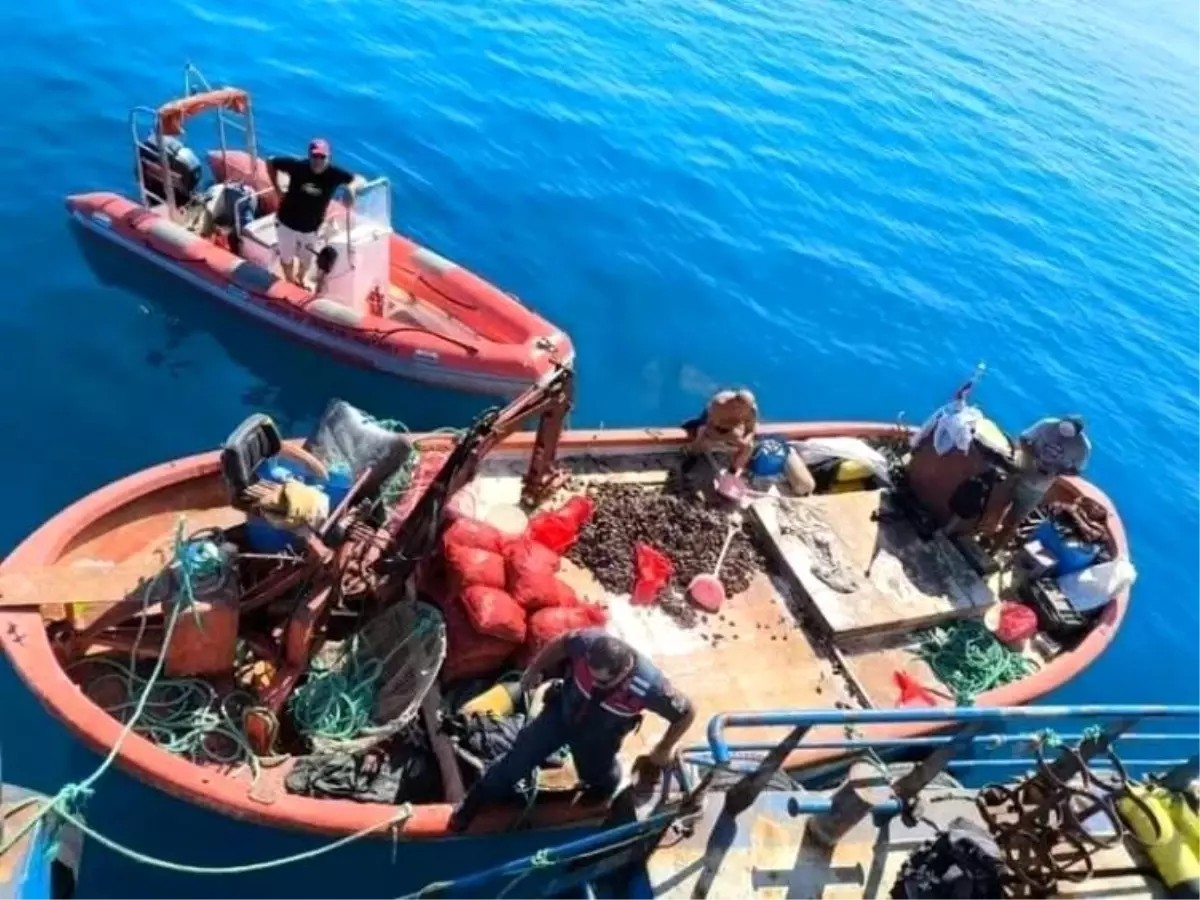 Aydın'da yasa dışı avcılığa geçit verilmiyor: "Bir yılda 5 bin denetim yapıldı"