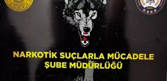 Bingöl'de 482 gram sentetik uyuşturucu ele geçirildi