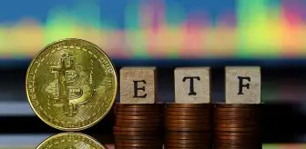 Bitcoin ETF'lerine üç ayın en yüksek günlük girişi