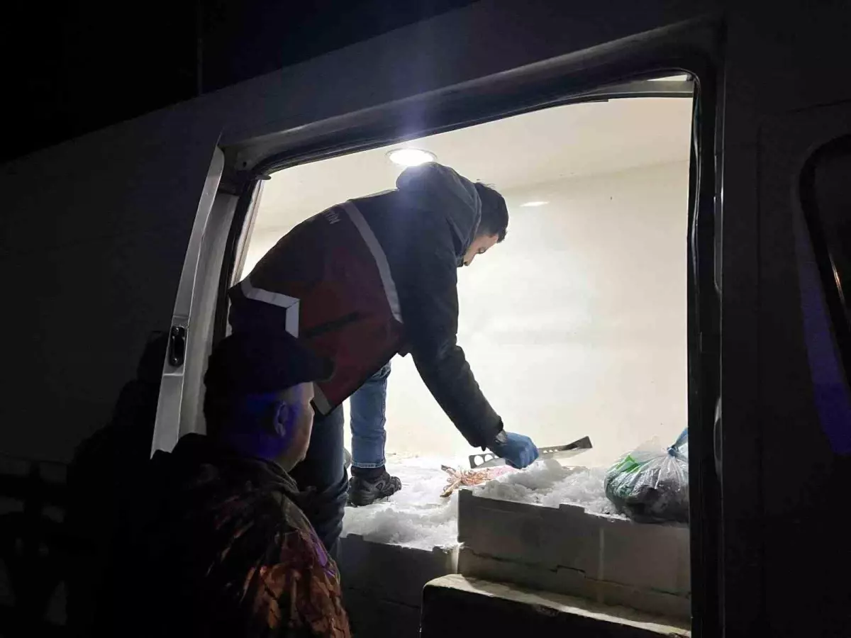 Kastamonu'da usulsüz avlanan 1 ton 335 kilogram balığa el konuldu