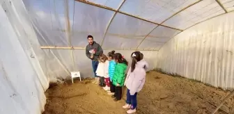 Keban'da öğrenciler serada tohumları toprakla buluşturdu