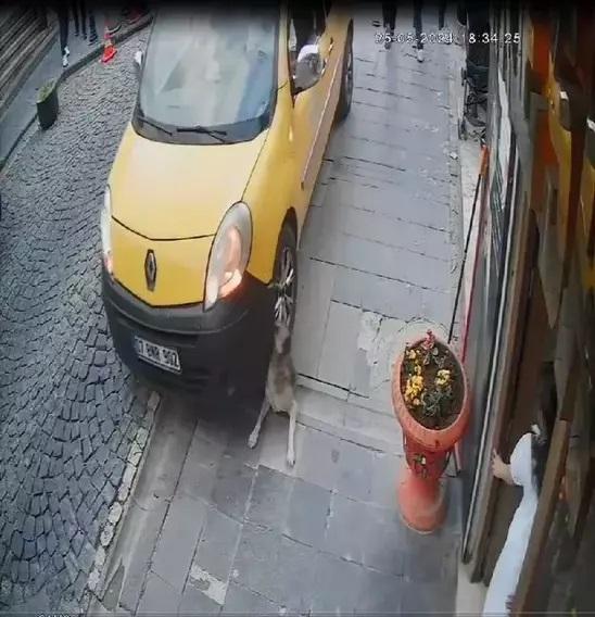 mardinli marilyn monroe ya hapis cezasi 19466525 7587 m