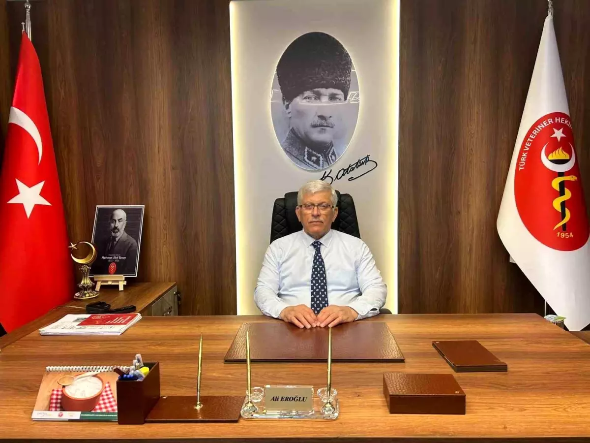 TVHB Başkanı Eroğlu: "Sorumsuz paylaşımların ve kamuoyunu yanıltan dezenformasyonun karşısında durmaya dev...