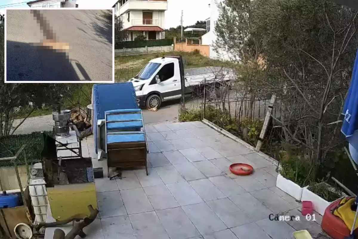 Yol kenarında yatan köpeği ezdi, arkasına bakmadan gitti