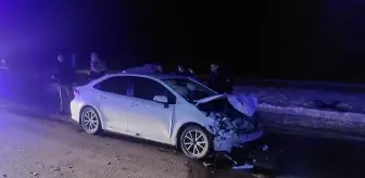 Bingöl'de domuz sürüsüne çarpan otomobildeki 3 kişi yaralandı
