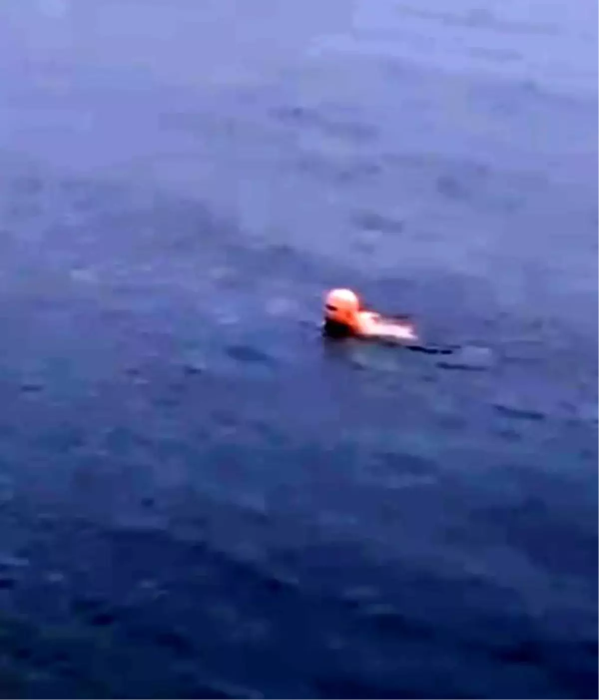 Bursa'da dondurucu soğukta deniz keyfi