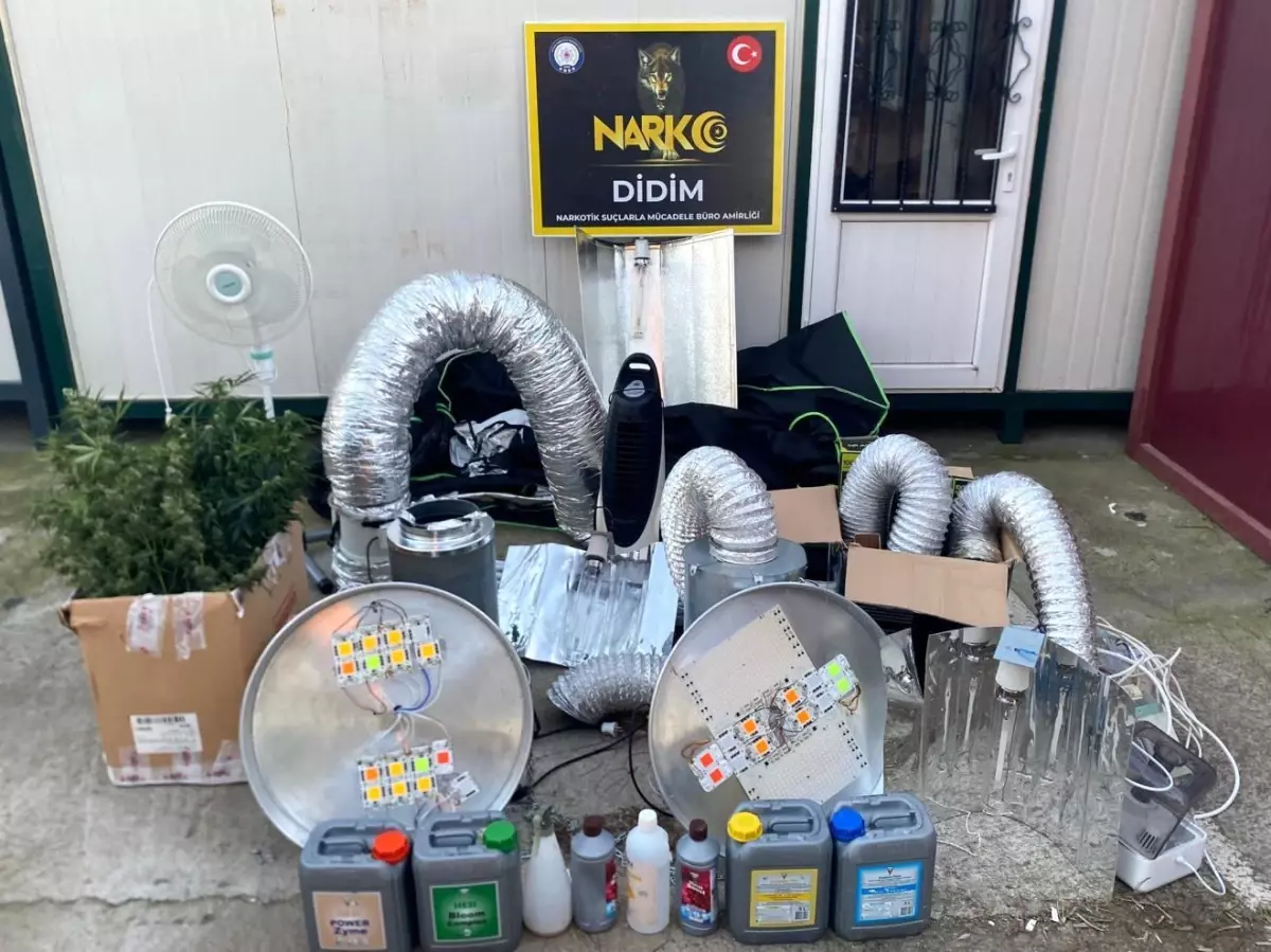 Didim'de uyuşturucu operasyonu: Kenevir yetiştirme kabini ele geçirildi