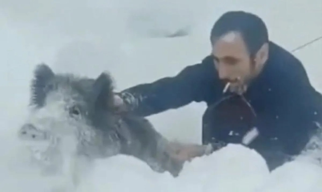 eliyle domuz yakalayan vatandasa ceza 19469789 5823 m