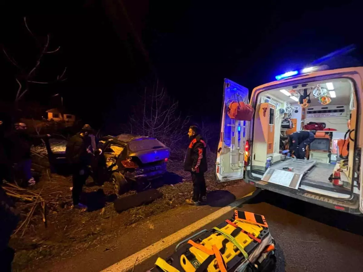 Kontrolden çıkan otomobil tarlaya girdi, sürücü yaralandı