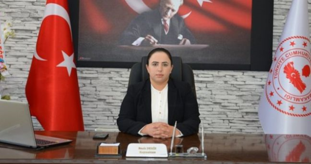 Nazlı Demir kimdir? Göç İdaresi Başkanlığı Daire Başkanı Nazlı Demir kaç yaşında, nereli?