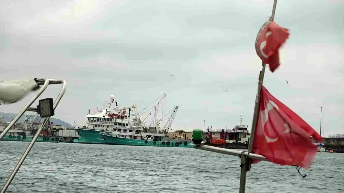 Türkiye'yi terk eden hamsinin yolu gözleniyor