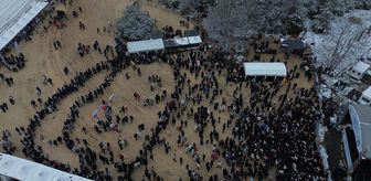 Bilecik'te Gölpark Kış Festivali'nde vatandaşlara 2 ton hamsi dağıtıldı