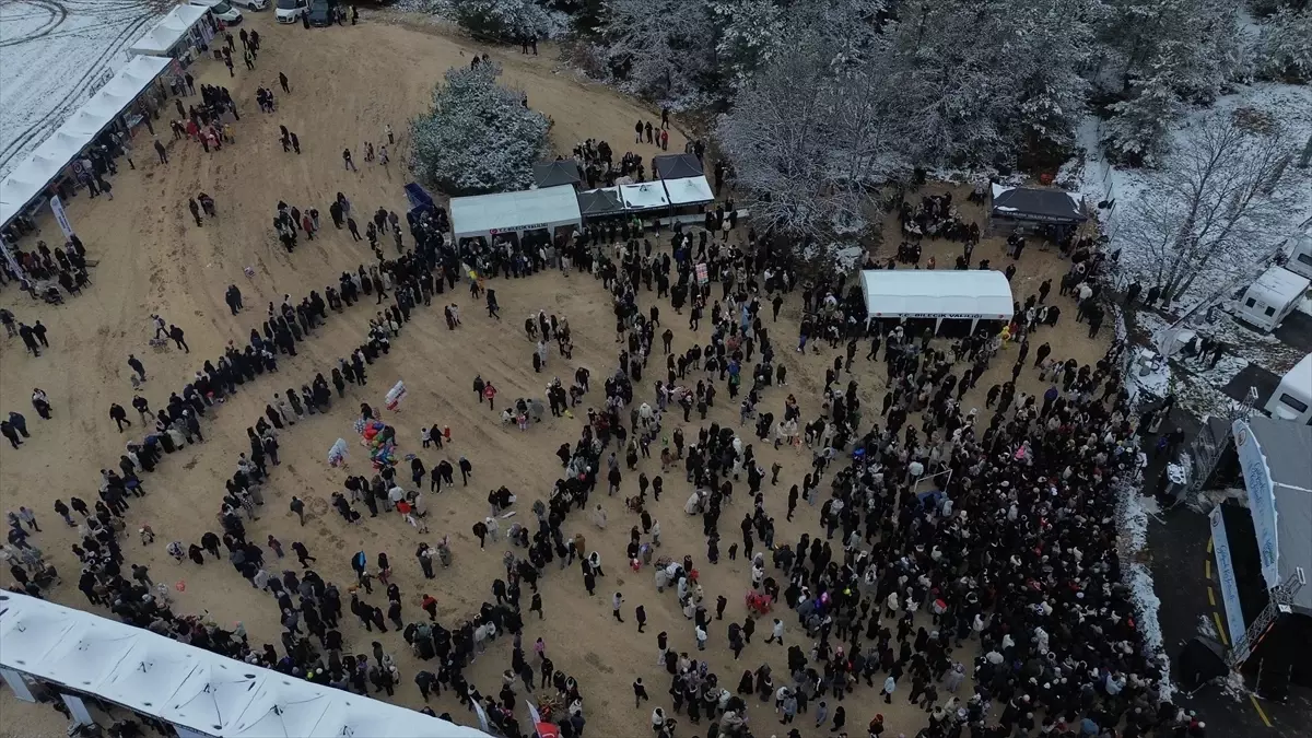 Bilecik'te Gölpark Kış Festivali'nde vatandaşlara 2 ton hamsi dağıtıldı