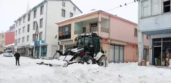 Bingöl'de kar yağışı etkisini sürdürüyor