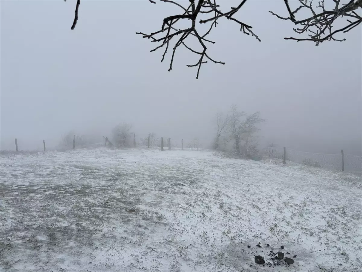 Çanakkale'nin yüksek kesimlerinde kar etkili oldu
