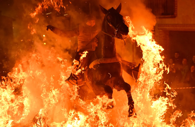 ليس مشهدًا من فيلم، بل حقيقة: الخيول اجتازت بين النيران بهذه الطريقة