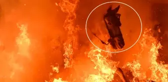 Film sahnesi değil gerçek: Atlar, alevlerin arasından böyle geçti