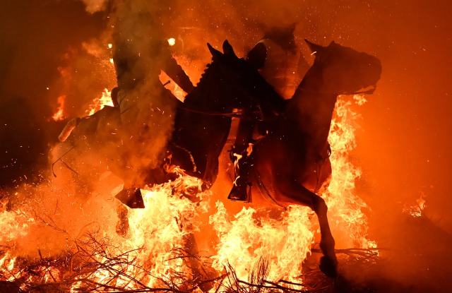 ليس مشهدًا من فيلم، بل حقيقة: الخيول اجتازت بين النيران بهذه الطريقة