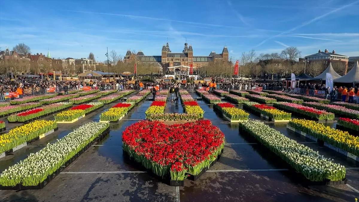 Hollanda'da "Ulusal Lale Günü" etkinliği yapıldı