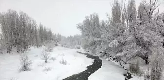 Sivas'ta kar yağışı etkili oluyor