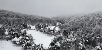 Beyaz örtüyle kaplanan Domaniç Dağları'nda yarıyıl tatili yoğunluğu yaşanıyor