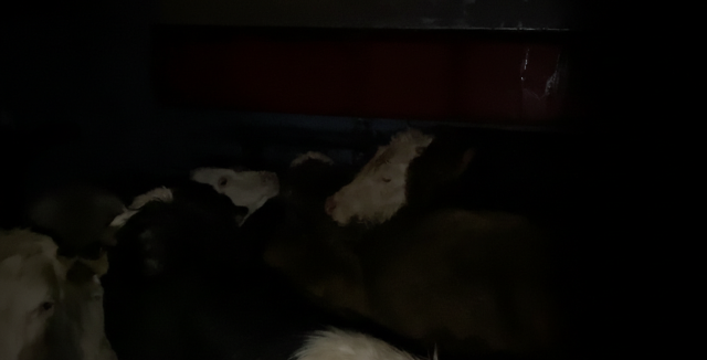 burdur da karantina ihlaline 400 bin tl ceza 19475075 6010 m