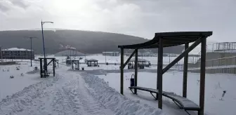 Erzurum, Ardahan, Kars ve Tunceli'de soğuk hava etkili oluyor