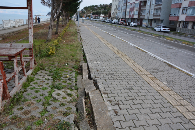 karadeniz in dalgalari sahil yolunu ve evleri 19477150 6805 m