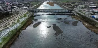 Kızılırmak'taki yaban ördeği yoğunluğu dronla görüntülendi