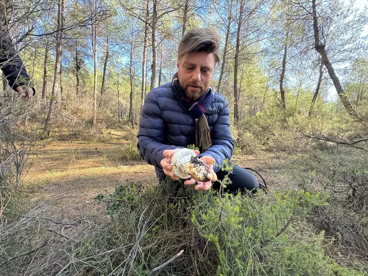 'Mantar avcıları' Antalya'da düzenlenen etkinlikte bir araya geldi