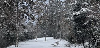 Sakarya ve çevre illerde kar etkili oldu