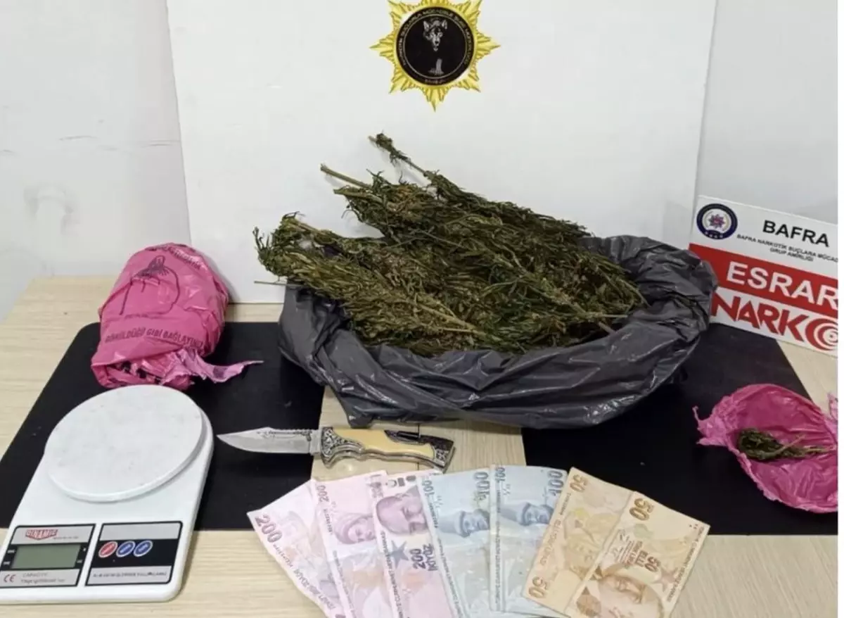 Samsun'da dört ilçede uyuşturucu operasyonu: 5 gözaltı