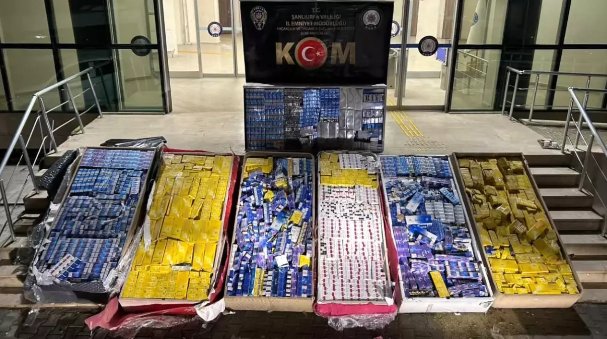 Şanlıurfa'da 40 bin paket kaçak sigara ele geçirildi