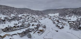 Sivas'ta çam ağaçlarıyla kaplı Eğriçimen Yaylası'nda kar kalınlığı 1 metreye ulaştı