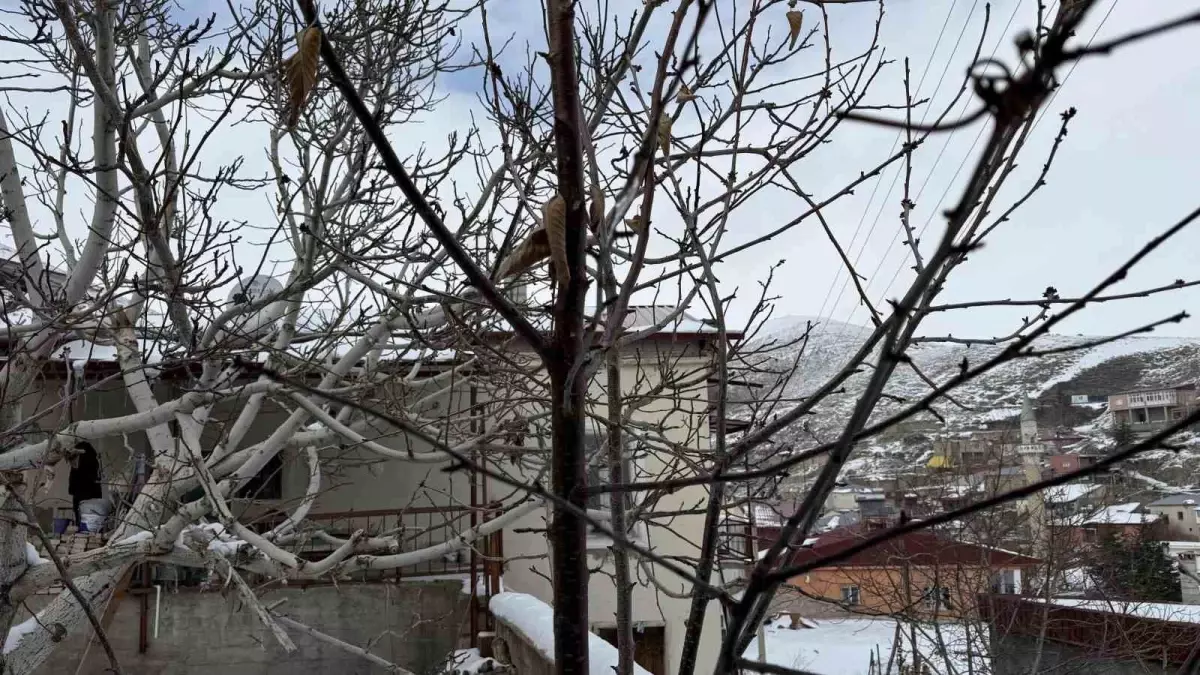 52 yılın en kurak zamanını geçiren çiftçi yağışlarla sevindi: İkinci üründe su sıkıntısı yaşanmayacak