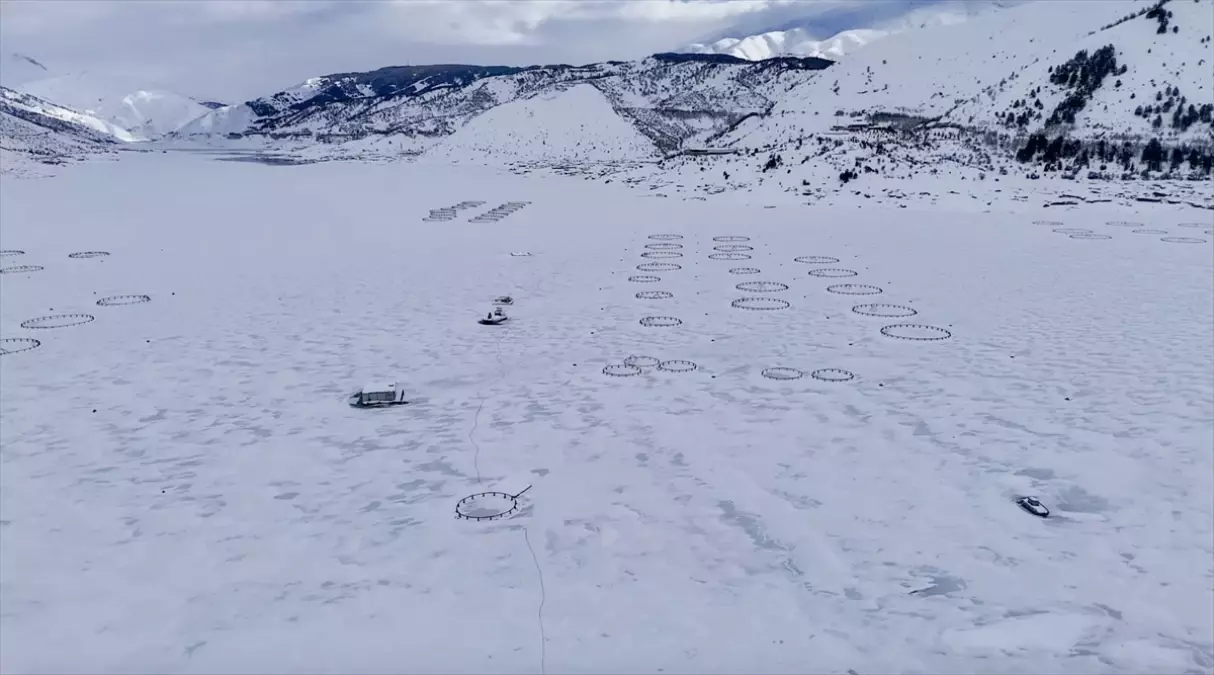 Adıyaman'daki Çat Barajı tamamen dondu