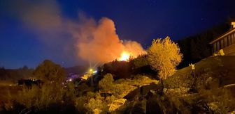 Antalya'da ormanlık alanda yangın çıktı