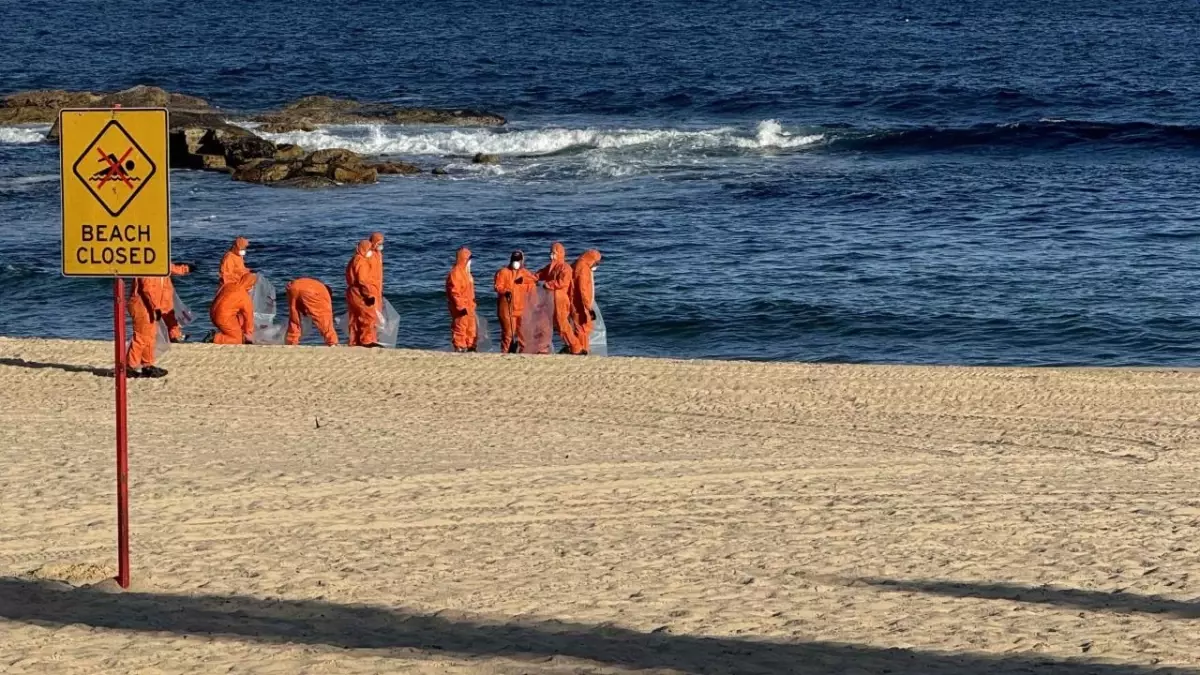 Avustralya'nın Sydney kentinde köpek balıkları 2 çocuğa saldırdı