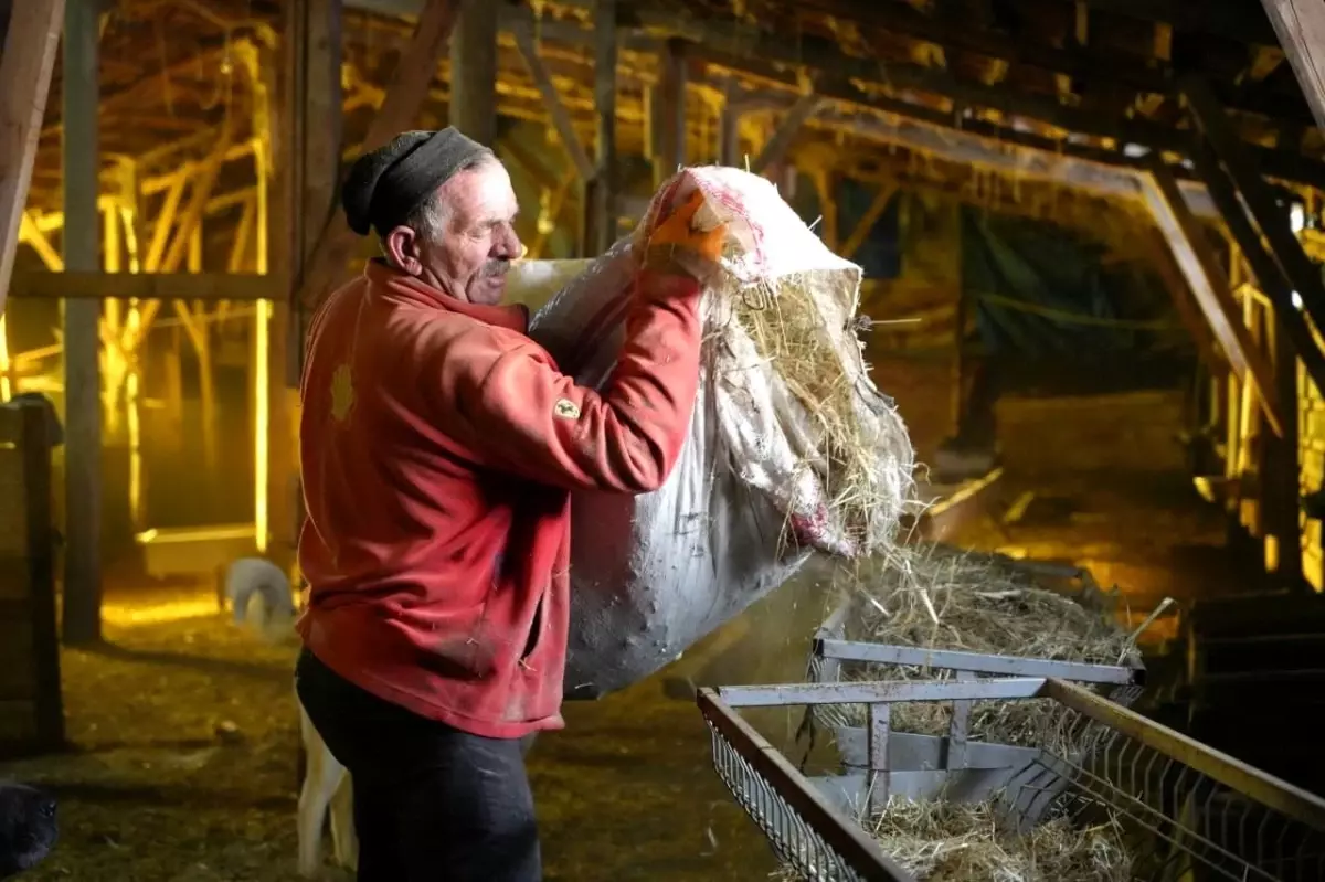 Bayburtlu besici zorlu kış şartlarına rağmen 140 hayvanını sevgiyle büyütüyor