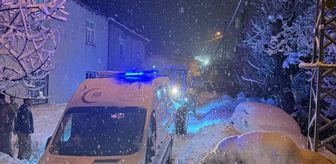 Bitlis'te yolu kardan kapanan köyde rahatsızlanan kadın, ekiplerce hastaneye ulaştırıldı